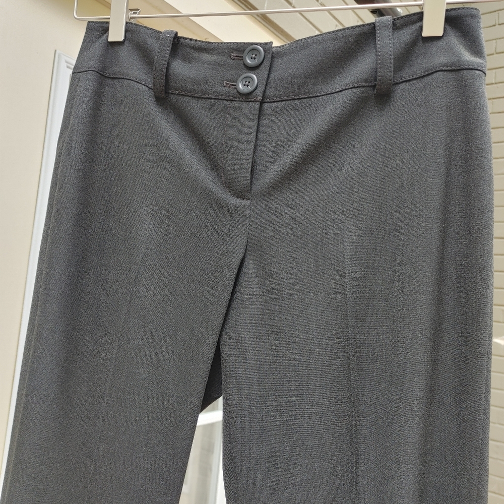 Ann Taylor Margo 4P Pants Gray
